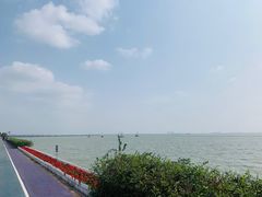 -贡湖湾湿地公园