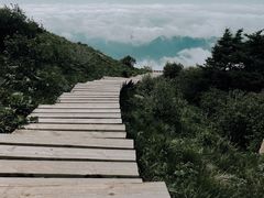 -白草畔自然风景区