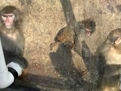 -北京鹿世界主题园