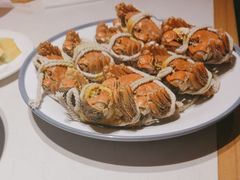 -杨氏青龙虾·羊蝎子(托乐嘉店)