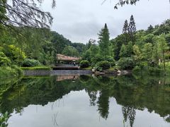 -云溪植物园
