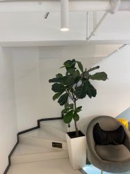 -I+造型烫发染发