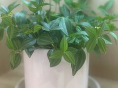 -中国农业银行(南京秦淮支行营业部)