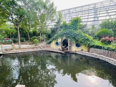 -南宫五洲植物乐园