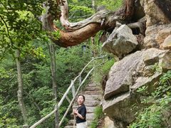 -西安祥峪森林公园