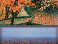 -灵谷景区
