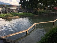 -牛鱼嘴原始生态风景区