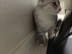 -安安宠医·臻爱宠物医院·宠保定点(营门口路分院)