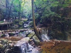 -牛背梁国家森林公园