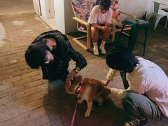 -ZING鲸鱼啤酒(葡萄院店)