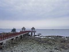 -养马岛旅游度假区