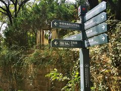 -延安杨家岭革命旧址