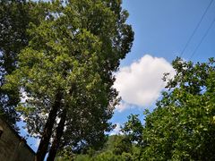 -辋川溶洞