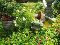 -Ohkajhu Organic Farm Sansai