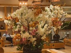 -青水瓦台汤泉(新华店)