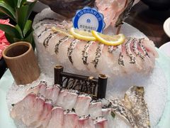 老虎斑-东海怡品海鲜豆捞(舟宿夜江店)