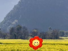 -万峰林风景区