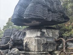 -梭布垭石林景区