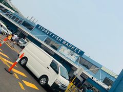 -悉尼鱼市场