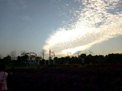 -广东花都香草世界旅游度假区