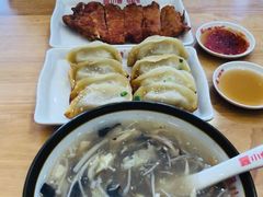 鲜肉锅贴-小姜锅贴(凤凰街店)