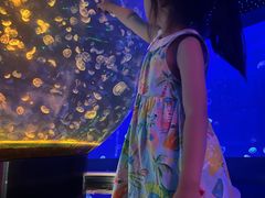 -江和美海洋公园