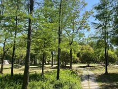 -上海长兴岛郊野公园