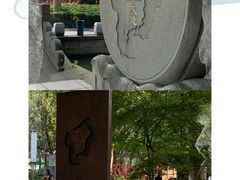 -钱江新城灯光秀