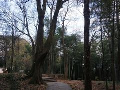 -西湖风景区十里琅珰-五云山