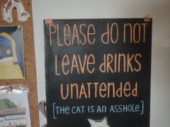 -海边的猫和咖啡馆