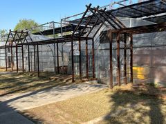 -前小桔亲子创意农场·草莓采摘·露营烧烤