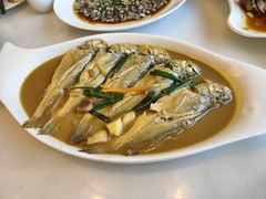 黄花鱼-华盛丰温州大排档(东三环南路店)