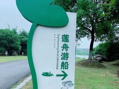 -荷塘月色湿地公园·向阳花洲