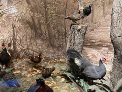 -常州海昌海洋探索馆