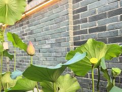 -花锦堂·隐庐