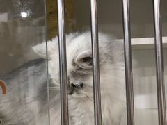 -1013 PET SHOP 宠物商店(近铁城市广场店)