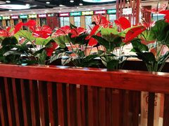 -点都德(华强南店)