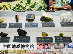-国家自然博物馆
