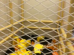 -德克士(宽甸店)