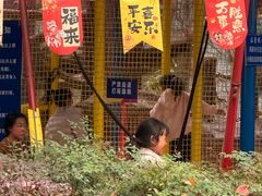 -南湖梦幻岛