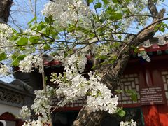 -北京鲁迅博物馆(北京新文化运动纪念馆鲁博馆区)