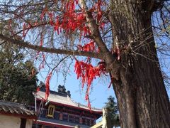 云顶石城风景区-金堂县云顶石城风景区