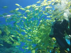 -成都浩海立方海洋公园