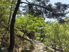 -无染寺