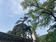 -潭柘寺景区