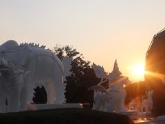 -清迈夜间动物园