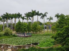 -厦门园林博览苑