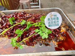 -渝尾巴烤鱼(总店)