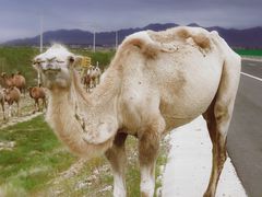 -沙漠世界地质公园