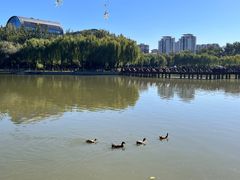-中国农业博物馆